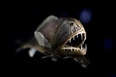 龍魚頻繁張嘴閉嘴什么原因：龍魚頻繁張嘴閉嘴什么原因解決龍魚頻繁張嘴閉嘴的問題