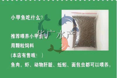 龍魚專用餌料配方：關于龍魚專用餌料配方