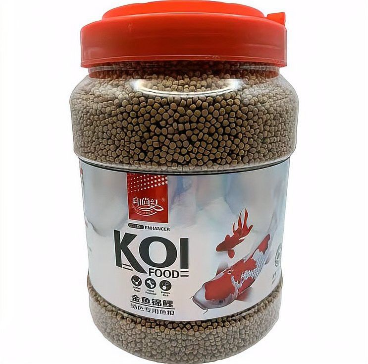 虎紋恐龍魚吃什么長得胖一點