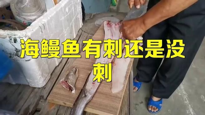 鰻魚有刺和無刺的區別