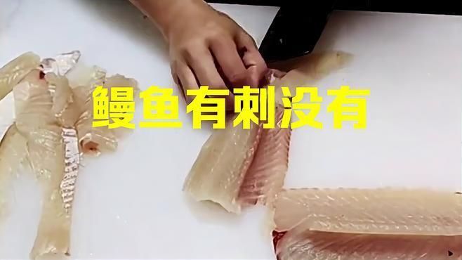 鰻魚有刺和無刺的區別