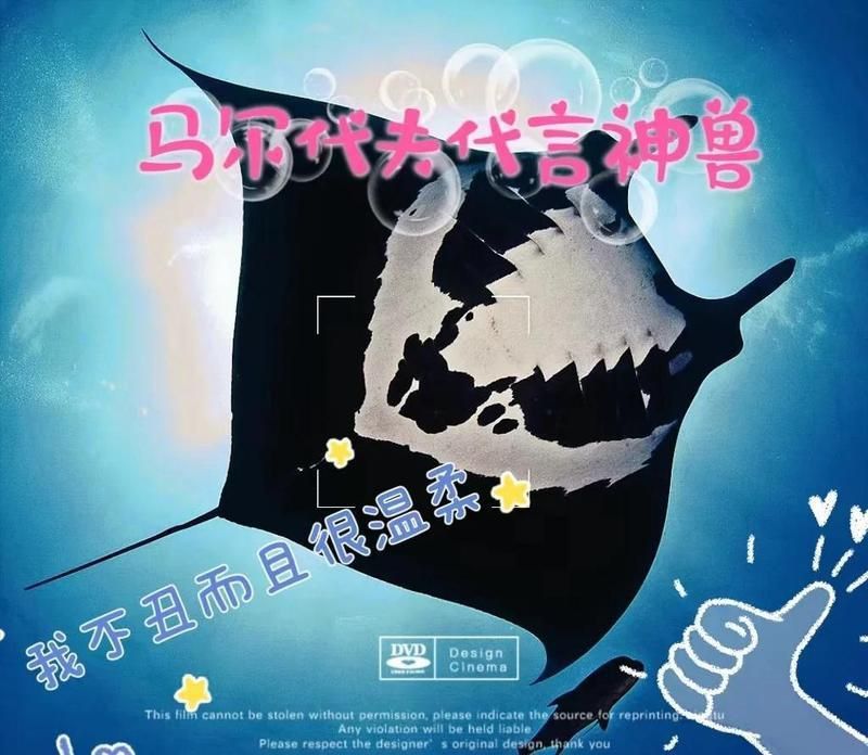 馬爾代夫的鰩魚會攻擊人嗎