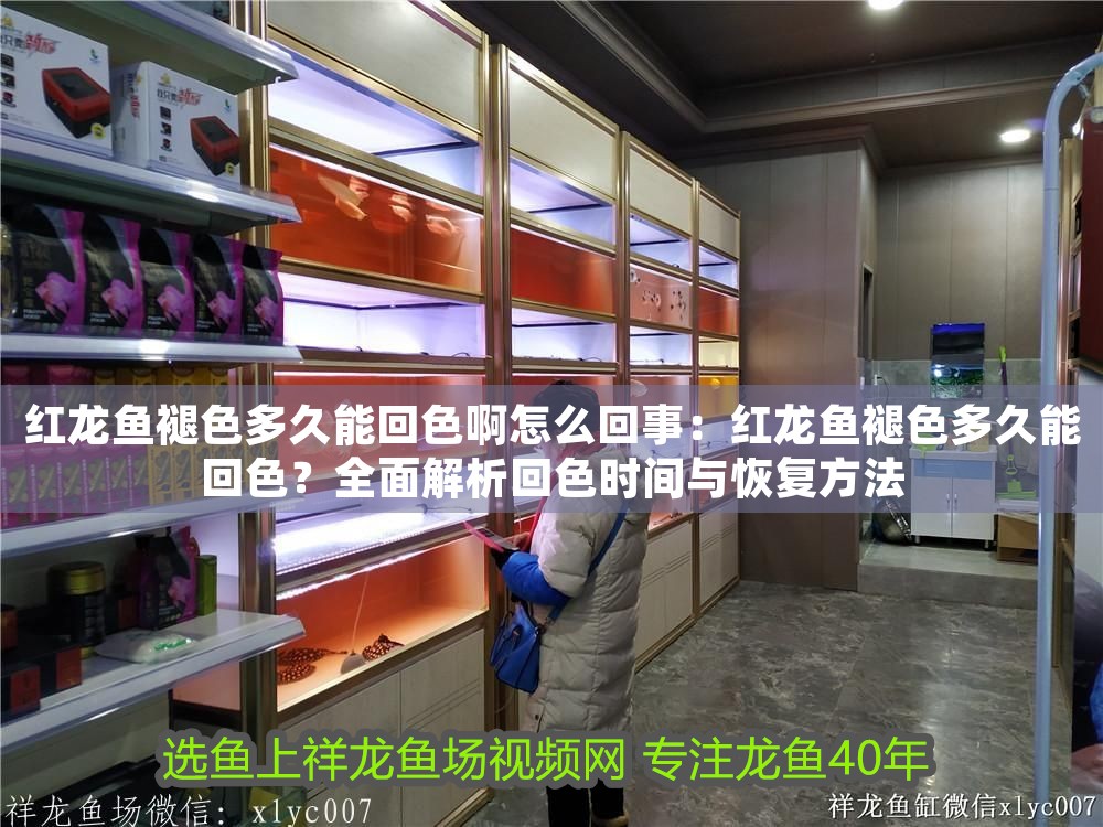 紅龍魚褪色多久能回色啊怎么回事：紅龍魚褪色多久能回色？全面解析回色時間與恢復方法