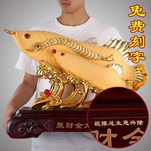 金龍魚陳總：關于金龍魚陳總的信息搜索結果中并未提供具體信息