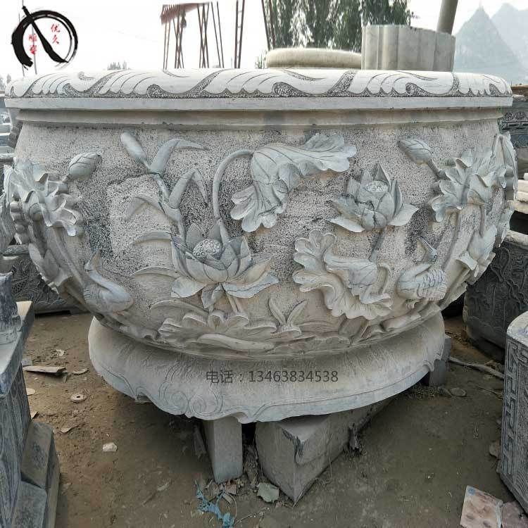 如果你想在九龍魚缸中養多條龍魚，銀龍可能是較好的選擇：在九龍魚缸中養多條龍魚，銀龍可能是較好的選擇