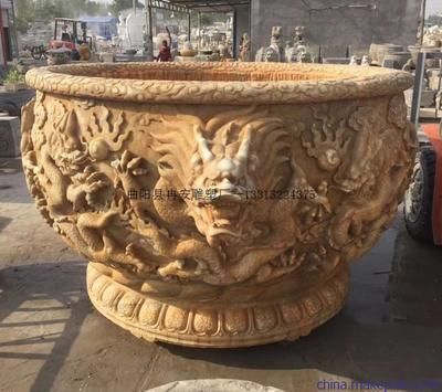 如果你想在九龍魚缸中養多條龍魚，銀龍可能是較好的選擇：在九龍魚缸中養多條龍魚，銀龍可能是較好的選擇