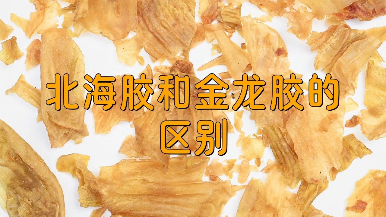 金龍魚膠好還是北海魚膠好吃
