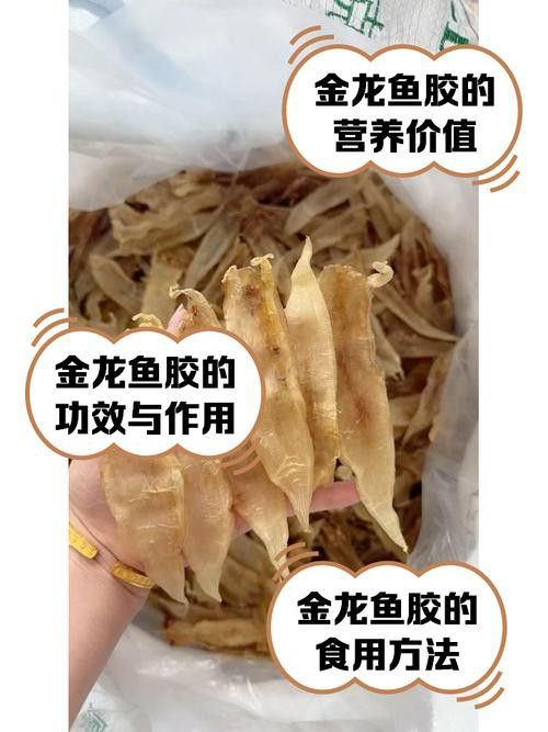 金龍魚膠好還是北海魚膠好吃