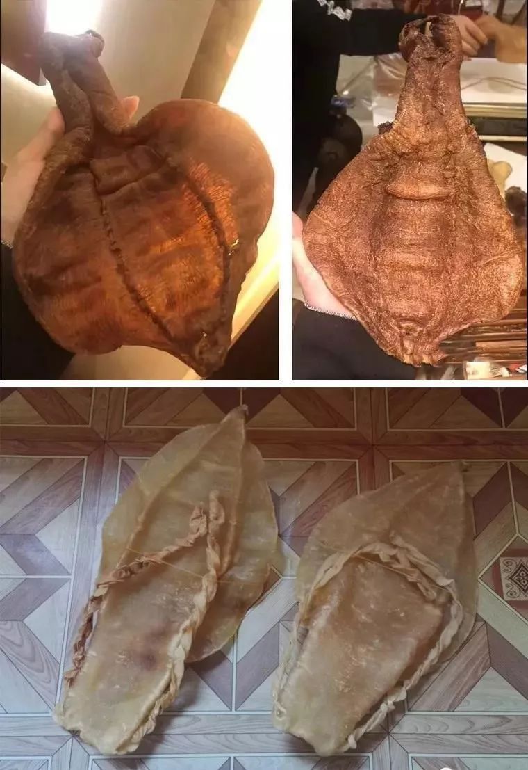 金龍魚膠好還是北海魚膠好吃