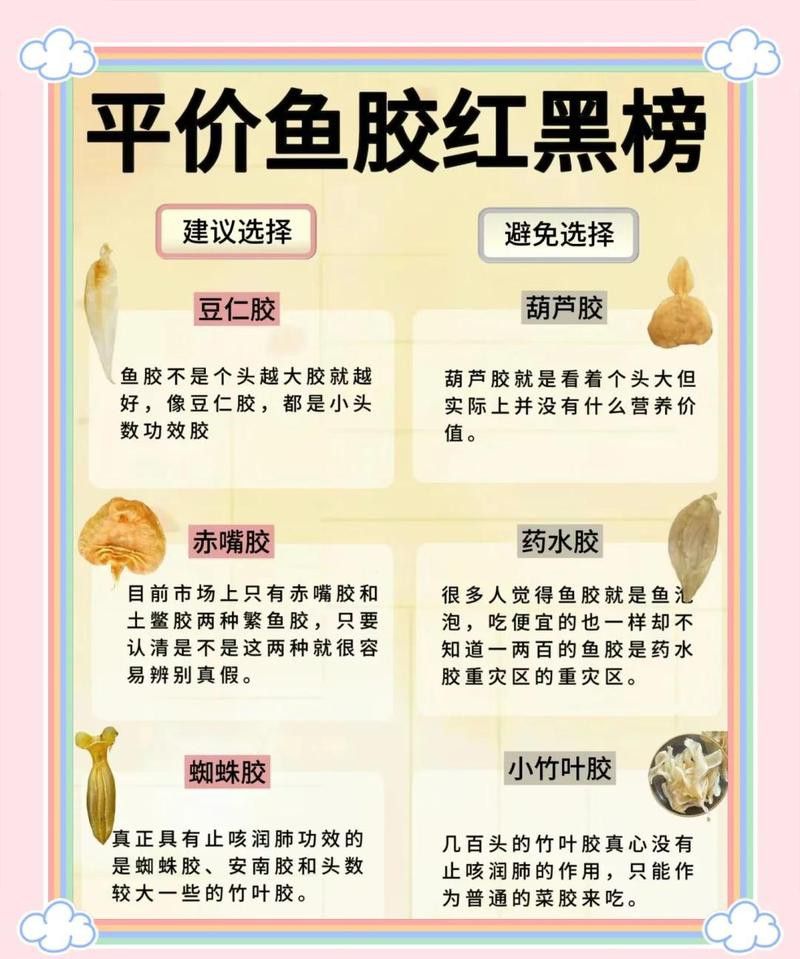 金龍魚膠好還是北海魚膠好吃