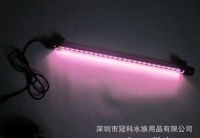龍魚燈怎么放好看又實用（龍魚燈與自然光配合方法，）