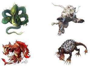 龍魚混養四大神獸是什么，龍魚混養四大神獸