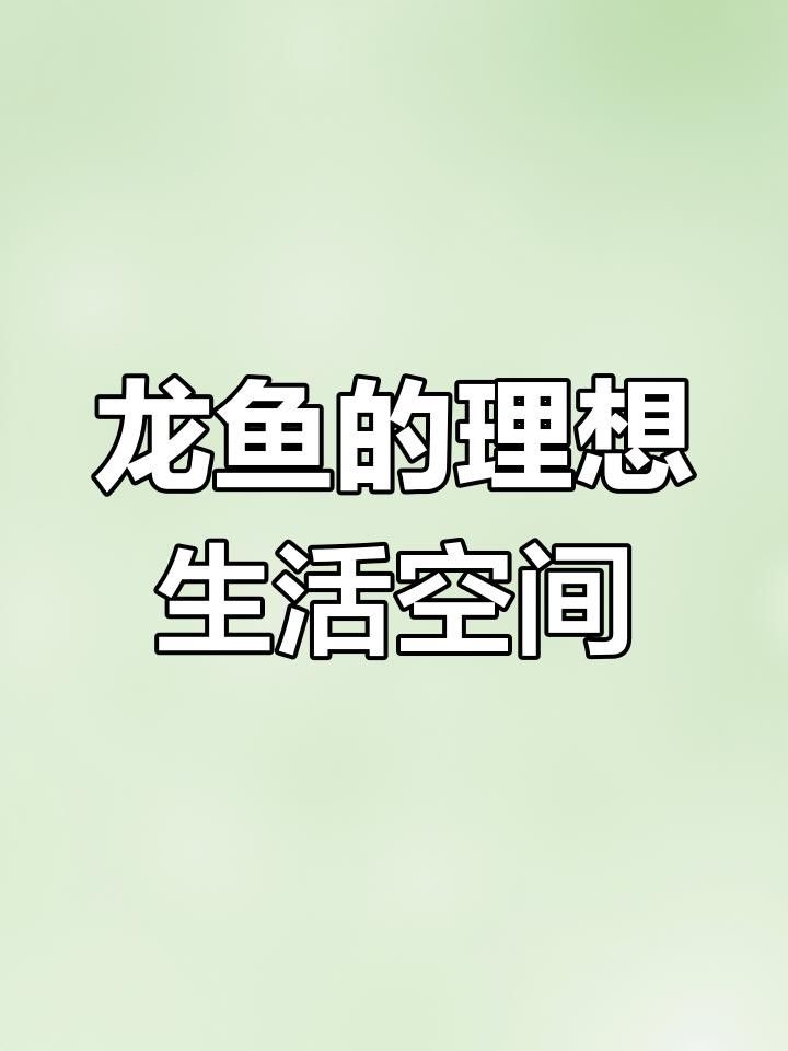 龍魚的最佳飼養環境