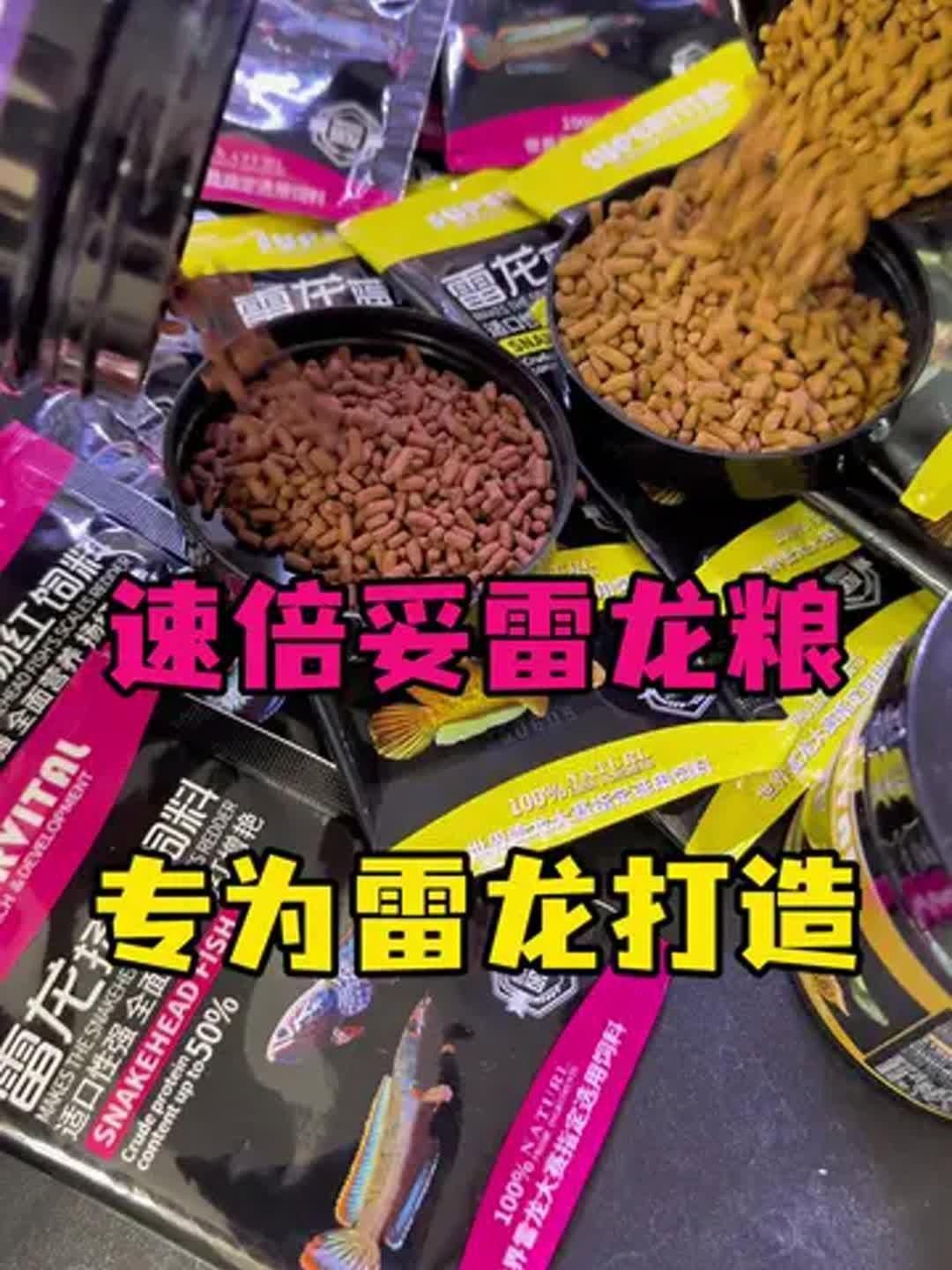 雷龍魚喂飼料什么牌比較好