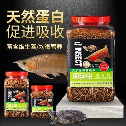 龍魚 烏龜糧 龍魚百科 第3張 龍魚 烏龜糧 龍魚 烏龜糧 龍魚百科 第3張