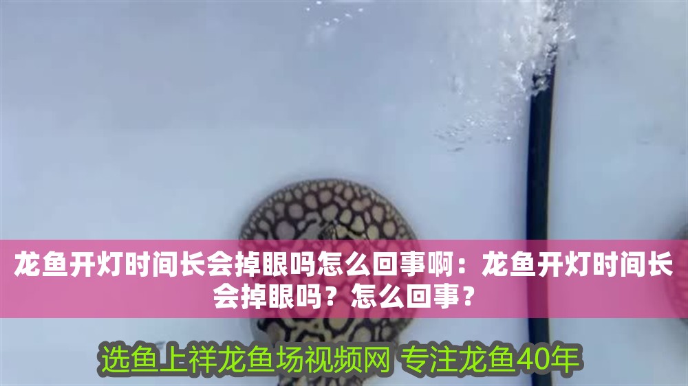 龍魚開燈時間長會掉眼嗎怎么回事啊：龍魚開燈時間長會掉眼嗎？怎么回事？