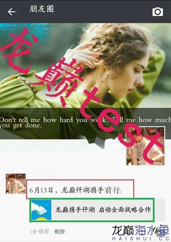 合肥龍魚交流群微信公眾號