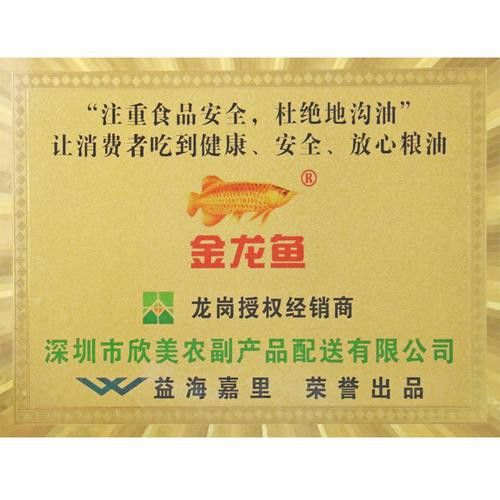 衡陽金龍魚經銷商