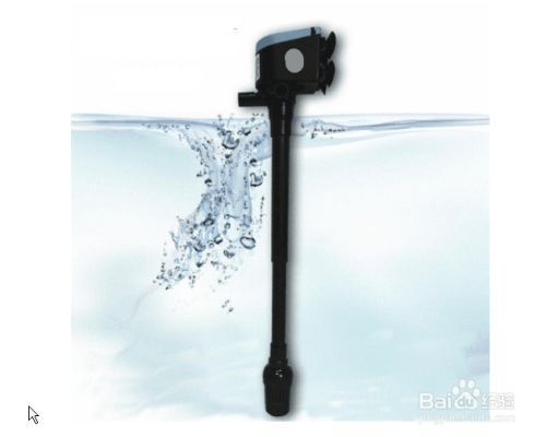 魚缸過濾器沒反應怎么解決，如何正確清洗魚缸濾材 魚缸過濾器沒反應怎么解決，如何正確清洗魚缸濾材 龍魚百科 第5張