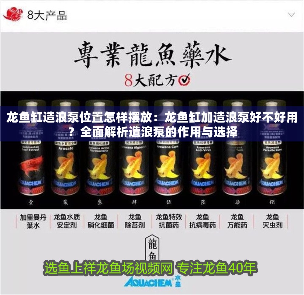 龍魚缸造浪泵位置怎樣擺放：龍魚缸加造浪泵好不好用？全面解析造浪泵的作用與選擇