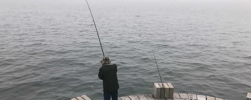 龍魚缸的最小尺寸是多少：養(yǎng)龍魚最小需要的魚缸尺寸