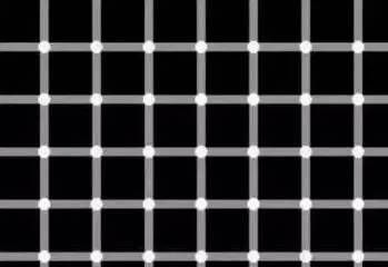 龍魚鱗上面有小白點怎么回事：龍魚身上出現小白點是怎么回事