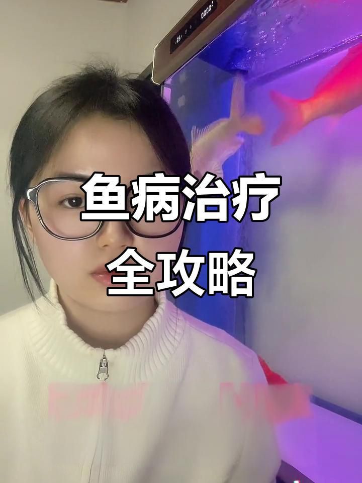 龍魚(yú)真菌感染的最佳治療周期