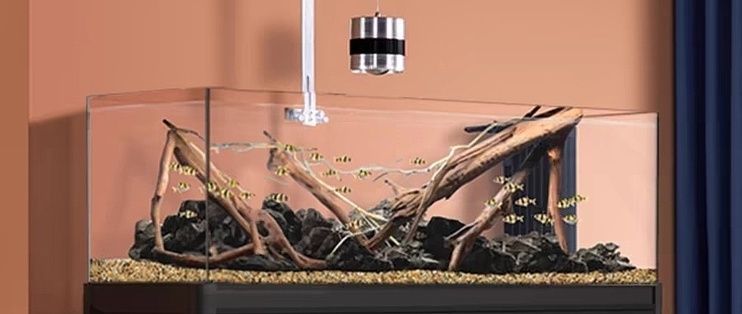 YEE魚缸（yee魚缸與同類產品對比，）