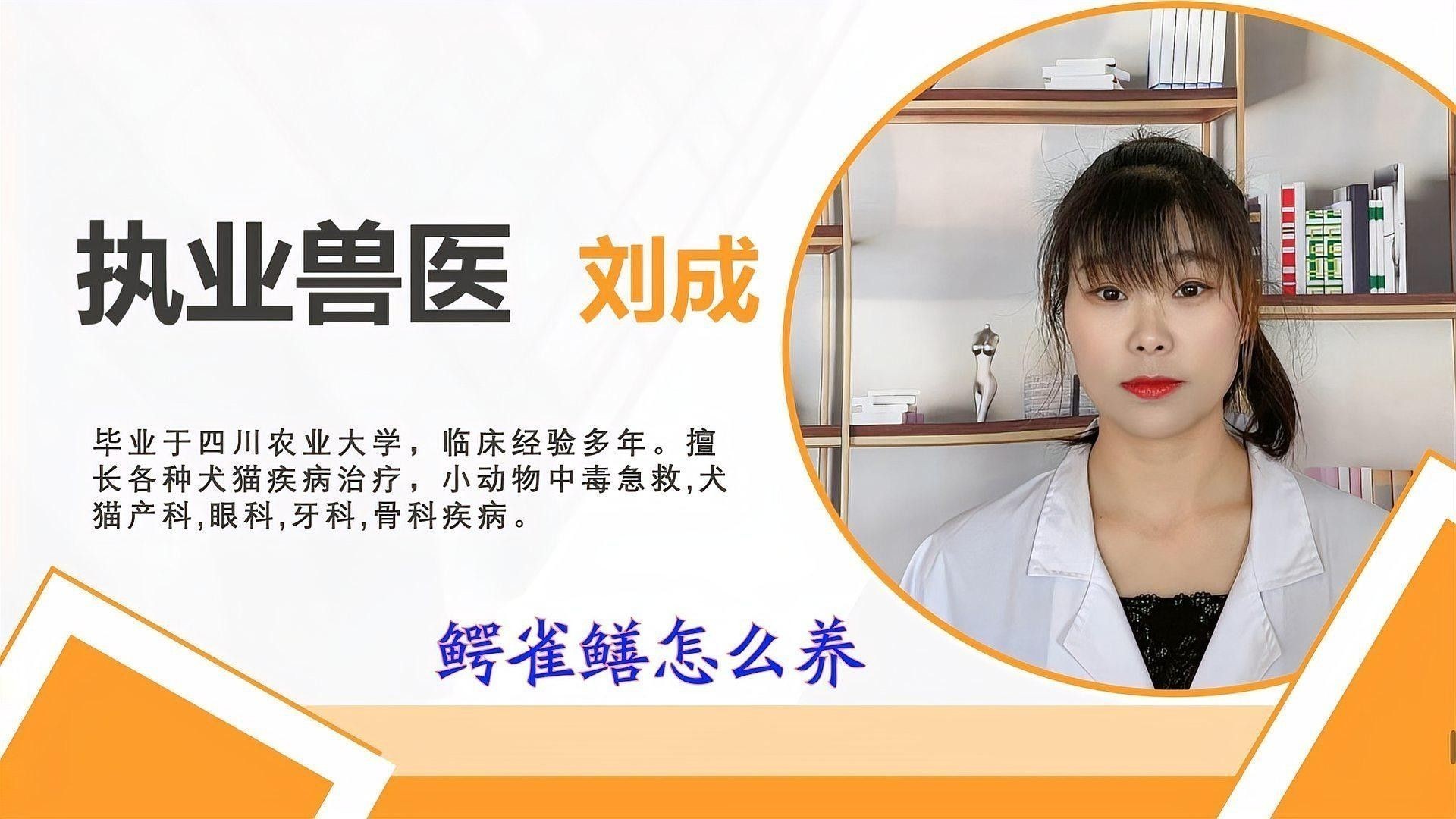 鱷雀鱔和龍魚混養(yǎng)