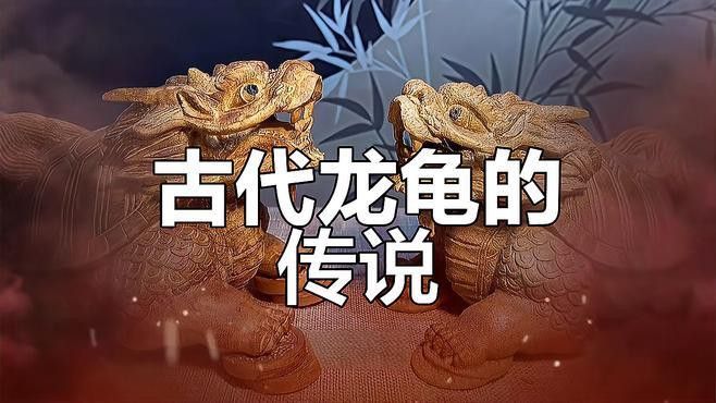 龍龜有哪些收藏價值？