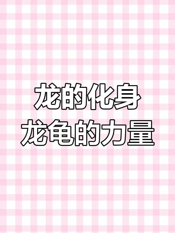 龍龜有哪些收藏價值？
