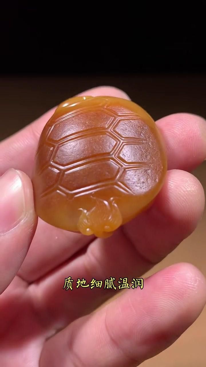 龍龜有哪些收藏價值？