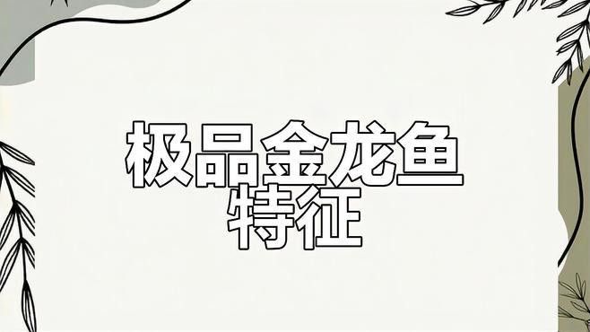 如何區分古典金龍魚品種？
