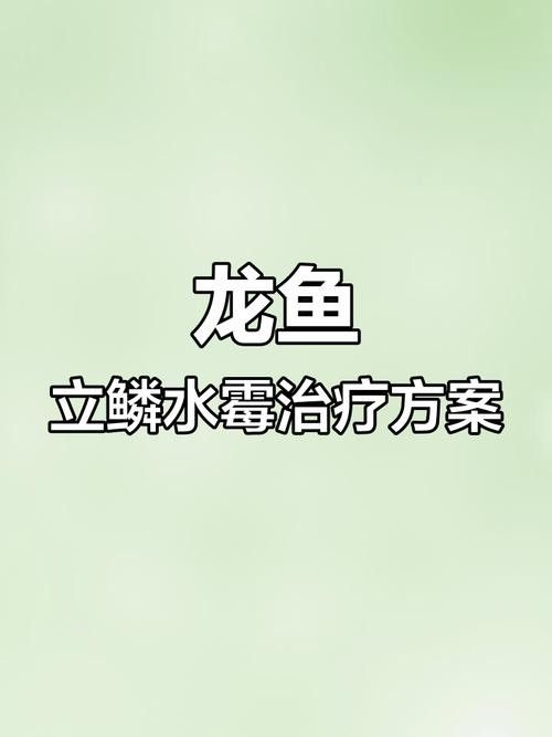 龍魚身上有白色絮狀物用什么藥最好呢圖片