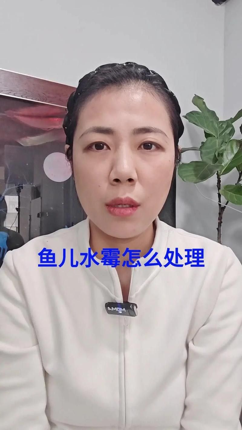 龍魚身上有白色絮狀物用什么藥最好呢圖片