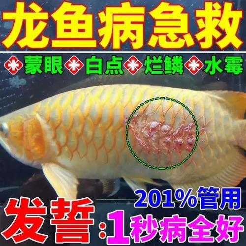 龍魚身上有白色絮狀物用什么藥最好呢圖片