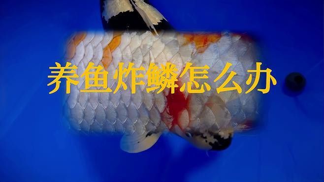 龍魚炸鱗的最佳治療方法是什么？