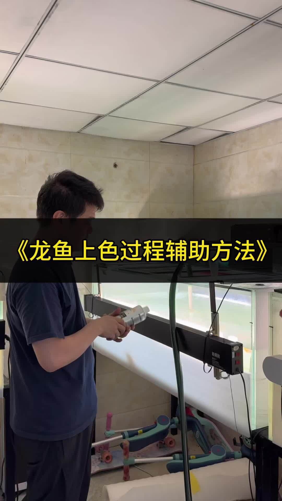 紅龍魚換水時需要添加什么嗎？
