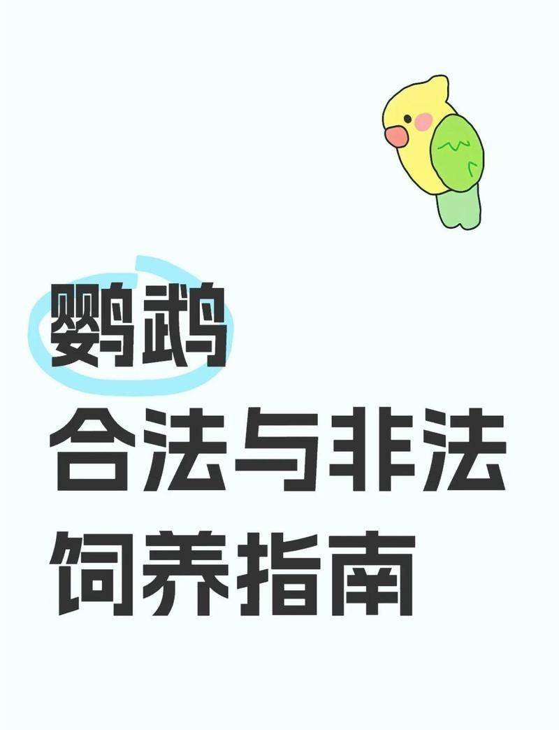 金絲<strong><mark>牡丹</mark></strong>鸚鵡可以養嗎