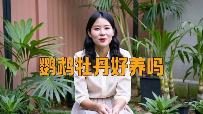 金絲牡丹鸚鵡可以養嗎