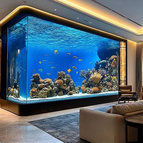 如何選擇適合24K過背金龍的魚缸？