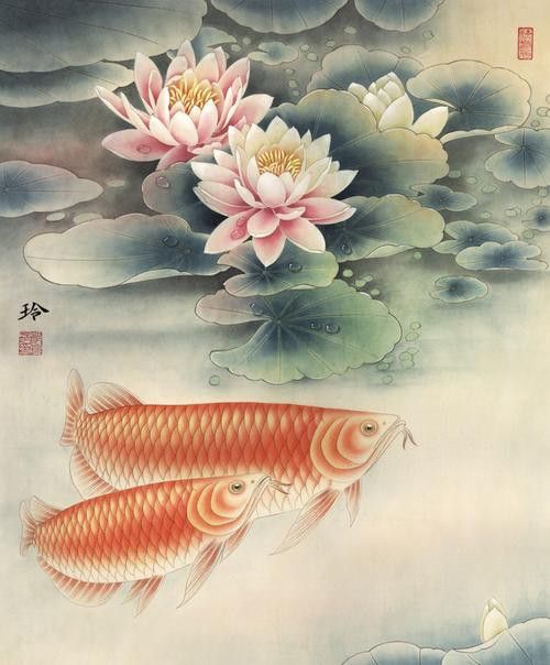 工筆畫金龍魚圖片大全欣賞