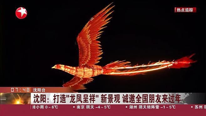 紅龍魚和元寶鳳凰混養好不好看圖片