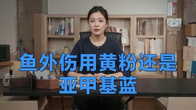 龍魚打架后如何處理傷口