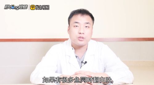 龍魚缸溫度太低導致魚翻肚子了（龍魚水溫過低而出現翻肚子的情況時，首先需要做的是迅速提高水溫）