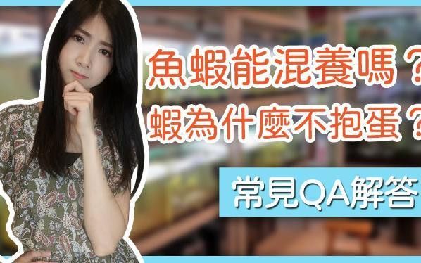 混養(yǎng)時需要注意哪些水質參數(shù)