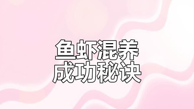 混養(yǎng)時需要注意哪些水質參數(shù)