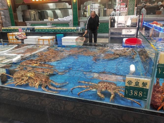 昌吉回族自治州龍魚市場