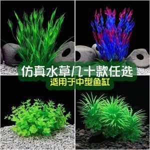 龍魚(yú)配水草：在龍魚(yú)缸中種植水草是一項(xiàng)具有挑戰(zhàn)性的任務(wù)和建議