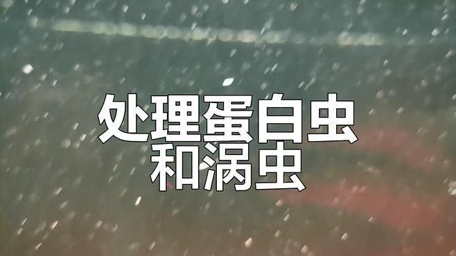 雷龍魚感染寄生蟲后如何治療？